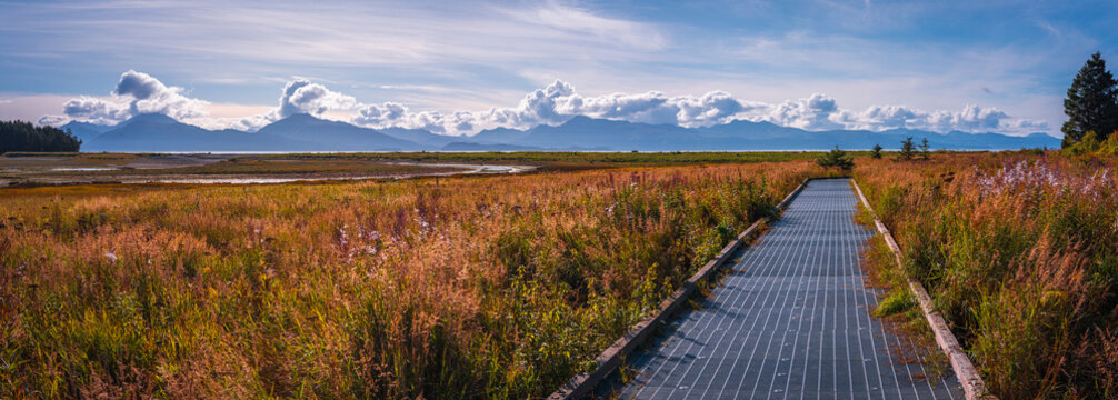 Alaska Homer marshland and boardwalk hiking trail landscape at Beluga Slough Trail near Bishop's Beach and Kachemak Bay