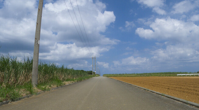沖縄県伊計島 サトウキビ畑の間を真っ直ぐのびる一本道と青空