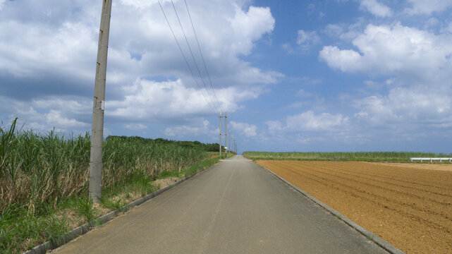 沖縄県伊計島 サトウキビ畑の間を真っ直ぐのびる一本道と青空