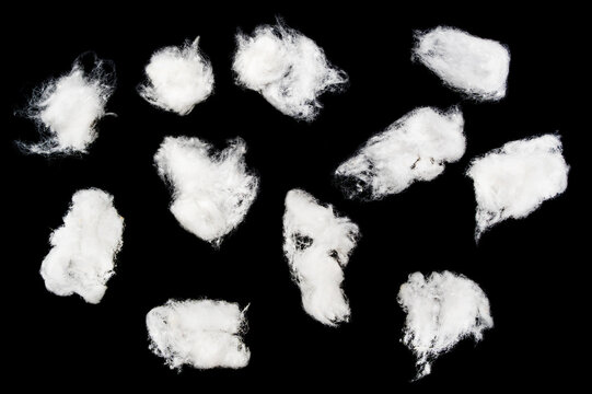 White cotton fluff pieces scattered on a deep black background, creating a soft isolated texture for design, textile, cleaning, or craft concepts.