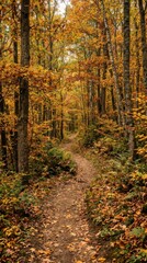 Fototapeta premium A Winding Forest Path Through Vibrant Autumn Foliage
