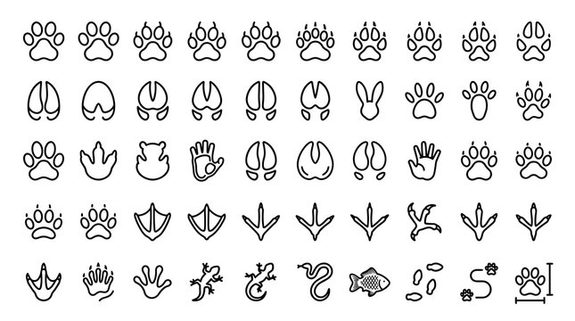 50 Animal Footprint and Paw Print Outline Icons Featuring Wildlife Tracks, Pet Paws, Farm Animals and Nature Trail Symbols