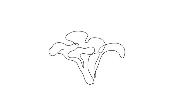 Minimalist meitake mushroom continuous line drawing animation gradually forming on a clean white background. A single unbroken black line creates an elegant cluster of meitake mushrooms