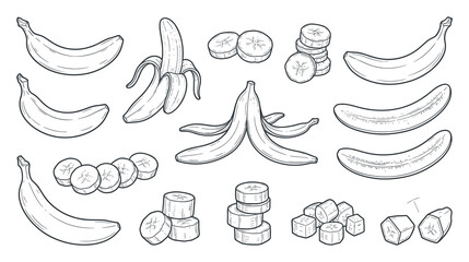 Obraz premium Banana fruit peeled slices and skin line art vector illustration.