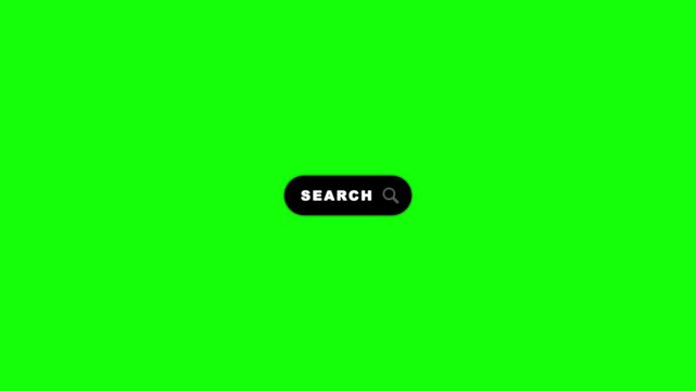 Search Button Motion Graphic Animation on Green Screen Background