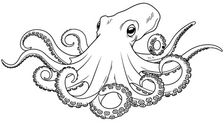 Detailed line drawing depicts an octopus with eight arms and large eyes © MDRASEL