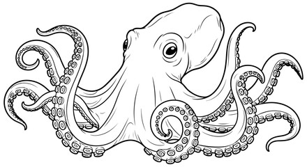 Detailed line drawing depicts an octopus with eight arms and large eyes © MDRASEL