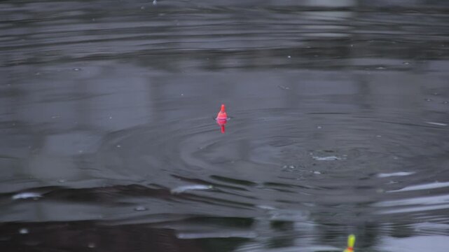 Orange fishing float on water surface with ripples during rain
