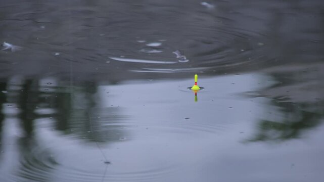 Fishing float on water surface