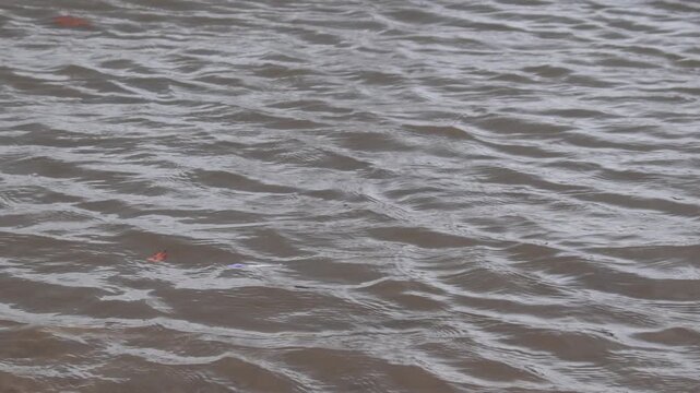 Brown river water with ripples and waves