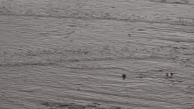Gray sea water surface with gentle ripples and waves