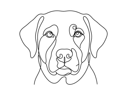 Continuous line art vector illustration of a dog face portrait, minimal pet design concept