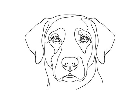 Continuous line art vector illustration of a dog face portrait, minimal pet design concept