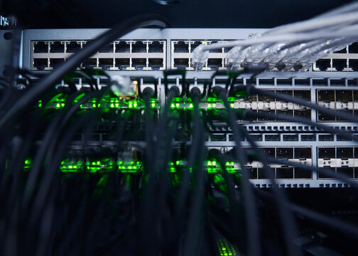 Data Center Server Racks with Network Equipment and Cabling