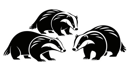 Set of three stylized badger silhouettes in distinct poses, featuring minimalist vector art design of European badgers with iconic head stripes, isolated on a plain white background. © toto