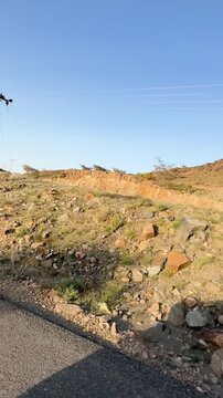 Scenic drive through a rocky desert landscape featuring mountains and a grazing camel.