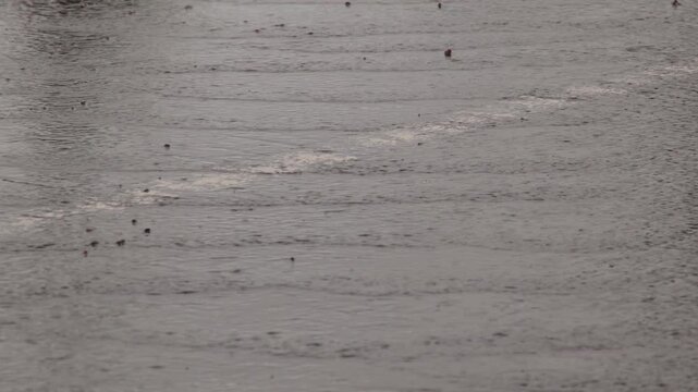 Heavy Rain Falling on Dark Water Surface with White Foam Line