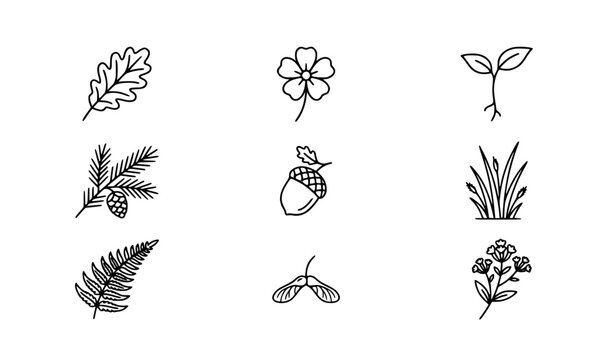 Botanical leaves flowers and plant growth monoline icon collection