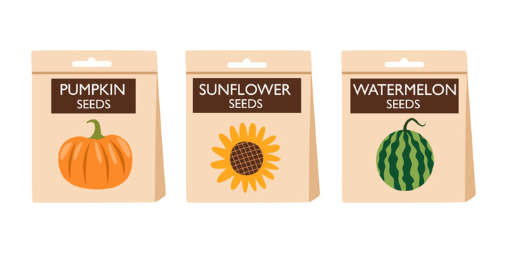 Set of pumpkin seeds, sunflower seeds and watermelon seeds snack in flat design vector.