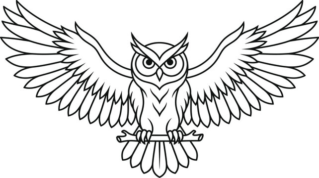 eagle owl vector illustration