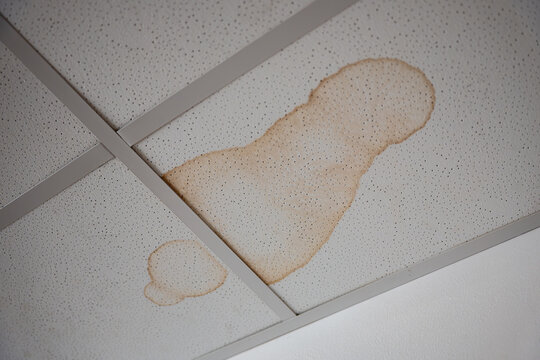 Large brown water stains on suspended acoustic ceiling tiles caused by leakage, showing visible moisture damage, flooding aftermath and the need for building repair and insurance assessment.