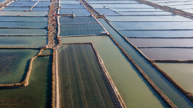 Aerial View of Aquaculture Ponds and Canals