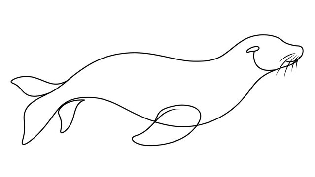 Seal swimming white background marine animal.