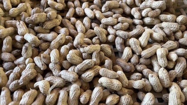 A Pile of Unshelled Peanuts: A close-up view of a large pile of unshelled peanuts, showcasing their textured shells and natural appearance.