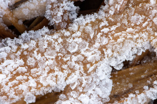 Close-up photograph of sharp white frost ice crystals forming dense geometric patterns on dark organic bark. For mineral crystallisation, skincare exfoliator, biochemistry, freezing process, nature