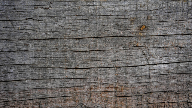 Weathered grey wooden plank texture with deep horizontal cracks