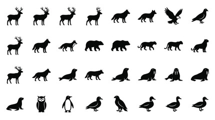 Fototapeta premium Comprehensive set of black animal silhouettes on white background including deer, wolves, foxes, eagles, owls, hawks, bears, mountain lions, seals, walruses, penguins, and ducks.