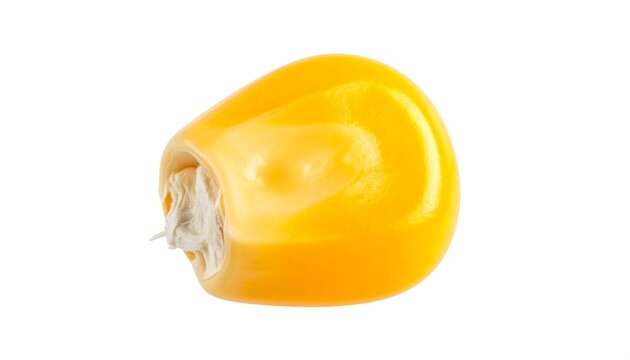 Grano de ma&iacute;z amarillo aislado sobre fondo blanco