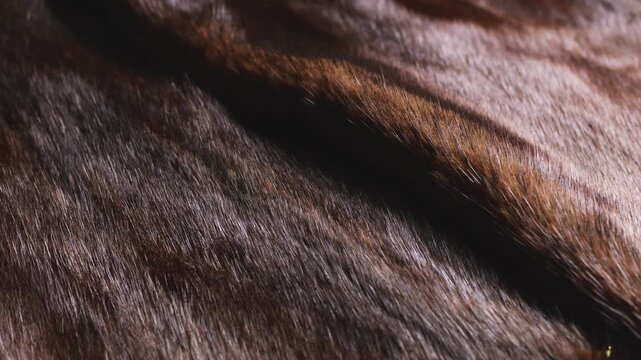 A close-up of a mink coat fur texture with soft brown ripples, luxurious genuine dark animal hair clothing, elegant natural premium winter fashion garment material, and expensive luxury apparel macro.