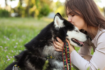 Pet companionship and animal welfare, young woman kissing her husky dog in a park during a sunny day for emotional support and mental health wellness © Pixel-Shot