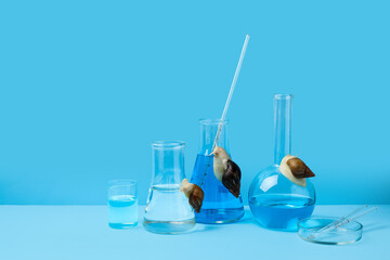 Laboratory flasks of samples with Achatina snails on blue background © Pixel-Shot