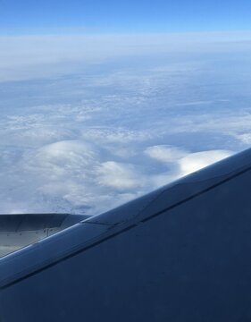 Avion