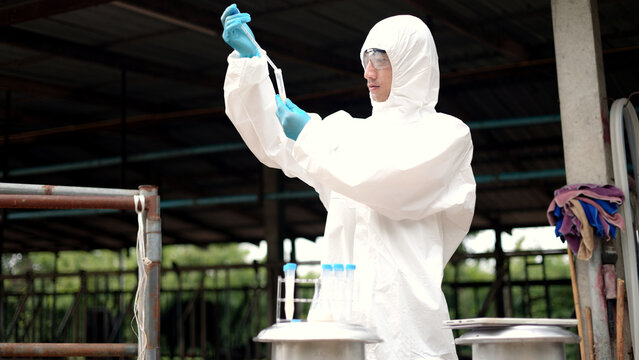 Asian male scientist in protective hazmat suit testing raw milk quality with pipette in metal container on a dairy farm.
