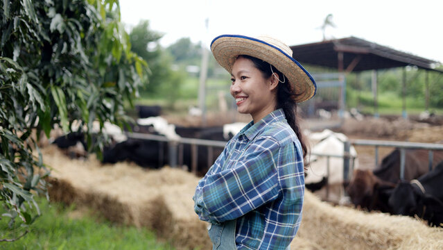 Portrait of confident Asian female farmer wearing hat standing with arms crossed at local dairy cow livestock farm.