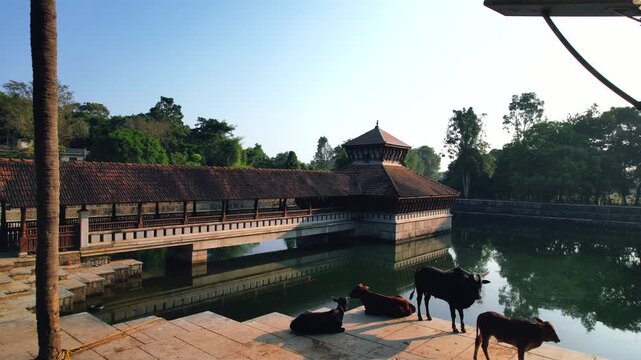 Neelavara Goshaale, Shri Pejawara Adhokshaja Matha,  Kalinga Mardana Krishna Mandira