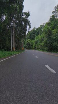 Scenic empty road winding through lush green forest under an overcast sky, capturing a peaceful tropical landscape and countryside driving route.