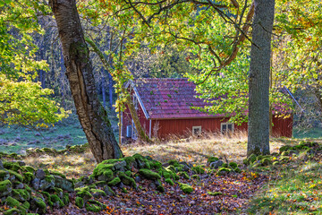 Rustic red wooden cottage in a forest glade © Lars Johansson