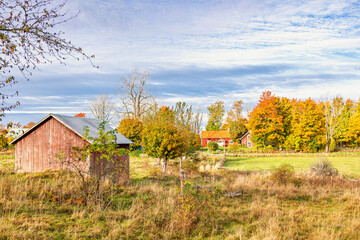 Old wooden shed on a meadow with a red cottage in a rural autumn landscape © Lars Johansson