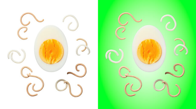 Hard-boiled egg with noodles decorative