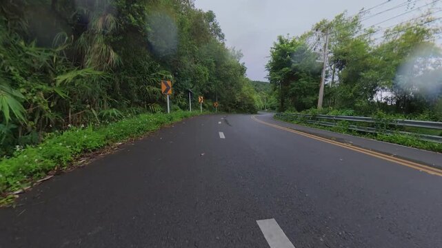 Scenic winding road through lush tropical forest, with curve warning signs, guardrails and wet-looking pavement creating a peaceful countryside travel scene.