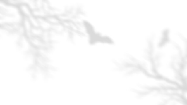 Scary Bat Shadow, Flying Bat with Bare Tree Branches Shadow Overlay for Spooky Halloween