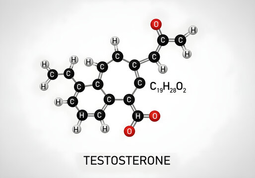 Testosterone molecular structure illustration isolated on white background