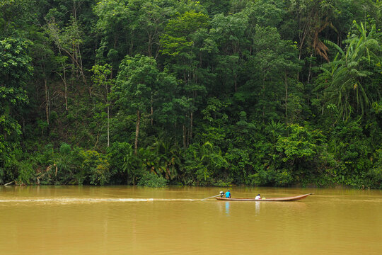 Gliding smoothly across the silt-rich of the Subayang River in Riau, Sumatra, a traditional wooden motorized boat navigates the vital aquatic lifeline of the Kampar Kiri Hulu region