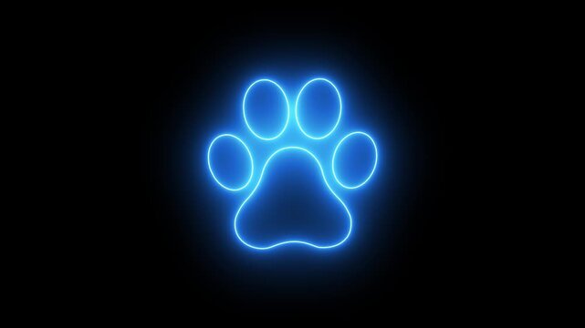 Glowing neon cat paw footprint animation isolated on black background