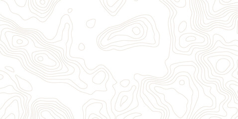 Abstract topographic map contour lines pattern on white background with topography elevation cartography geography geometric background monochrome © MD