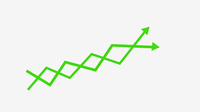 Investment Growth Graph Animation with Financial Performance Indicators